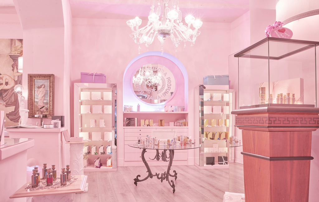 Searching for Acampora Olfactory Lounge